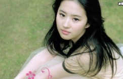 宋承宪新剧收视夺冠，网友：靠刘亦菲赚看点！