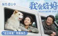 它用一生陪伴!张子枫《我会好好的》曝终极预告
