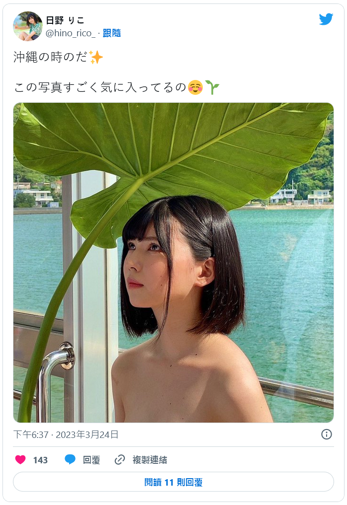 日野莉子(日野りこ)出道作品番号及封面,日野莉子个人简介