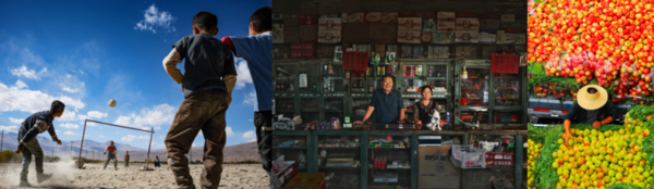 第八届京东影像大赛落幕 全民创作助推影像文化普及 第八届京东影像大赛落幕 全民创作助推影像文化普及