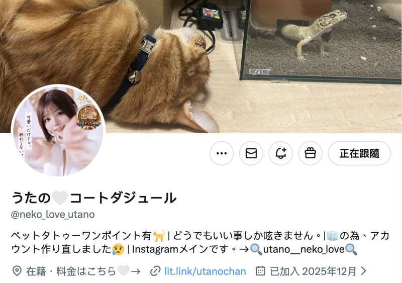 马上宣布马上引退!市井结夏接下来要⋯