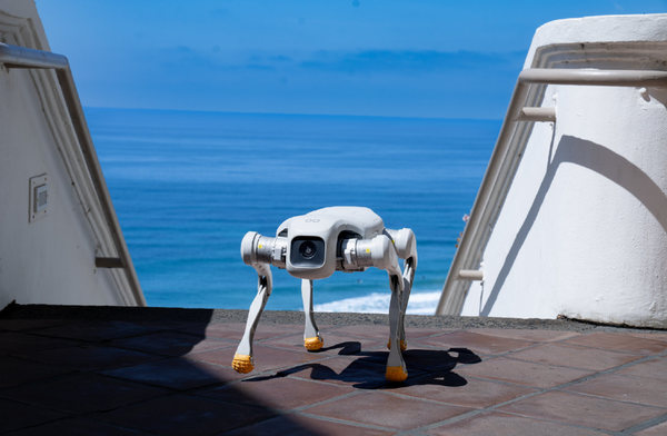 FF机器人 FF四足机器人通过美国销售合规认证 全年出货1000台?