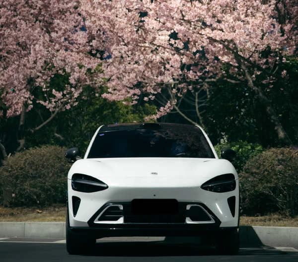 3月中大型SUV销量TOP 20出炉 这两款车超越小米YU7