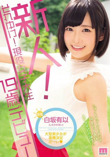 最新推荐!校花级短发E奶正妹《白坂有以》精选作品介绍……