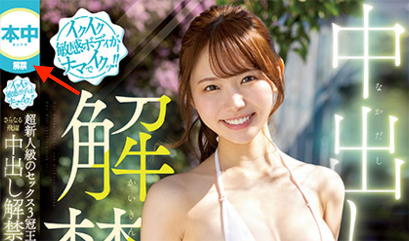 HMN-455,响莲(Hibiki-Ren)最新作品2023/08/22发布！